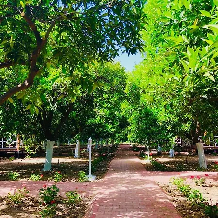 Apartment Eliz Garden *