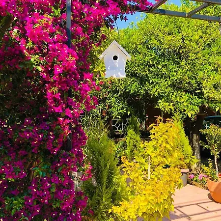 Eliz Garden Antalya