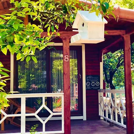Eliz Garden Apartment *