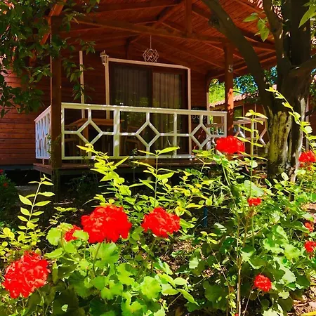 Eliz Garden Antalya