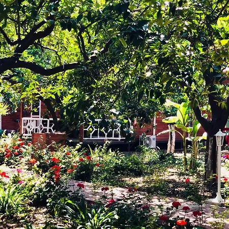 Eliz Garden Apartment