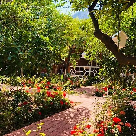 Eliz Garden