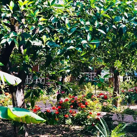 Eliz Garden Antalya