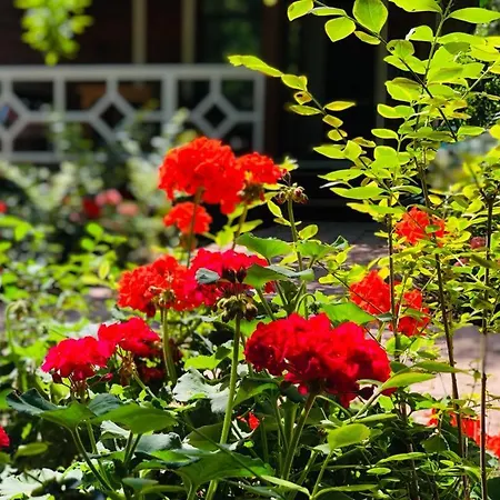 Eliz Garden Antalia