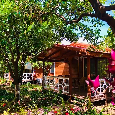 Appartamento Eliz Garden Antalia