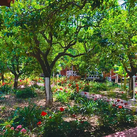 Appartamento Eliz Garden *